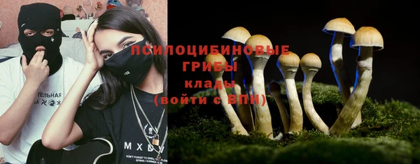 СК Абдулино