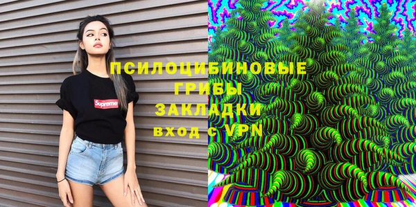 ешки Абаза