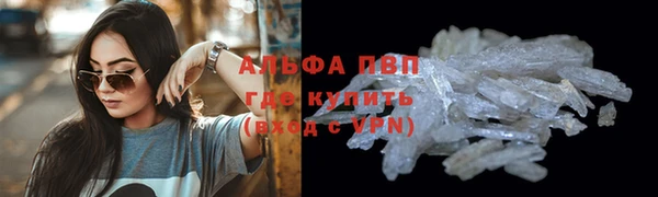 СК Абдулино