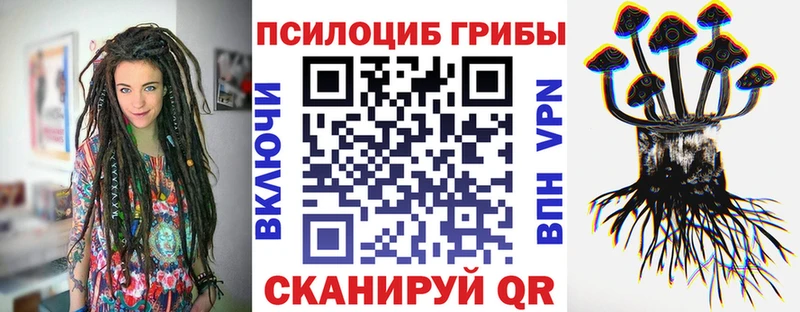 Галлюциногенные грибы мицелий  MEGA как войти  Хасавюрт 